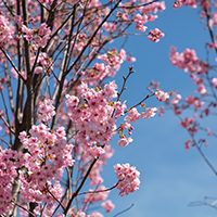 地元のネタ byリジョナー